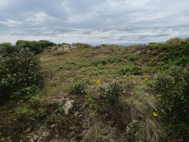 Bredene (België)